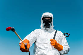 Best Termite Inspection and Treatment  in Blanchard, OK